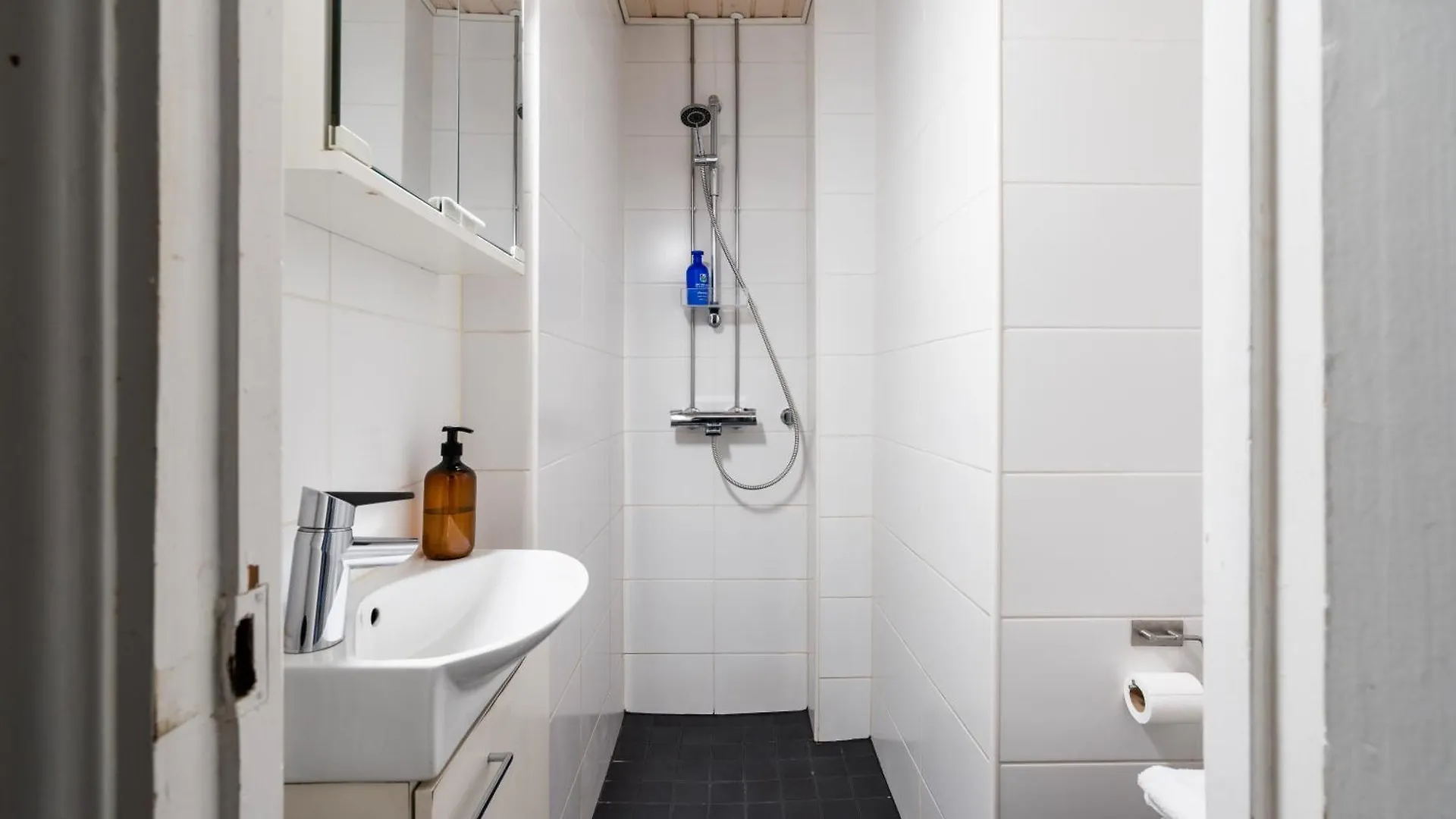 Apartment Loft Studio, Kallio, Metro Nearb Helsinki